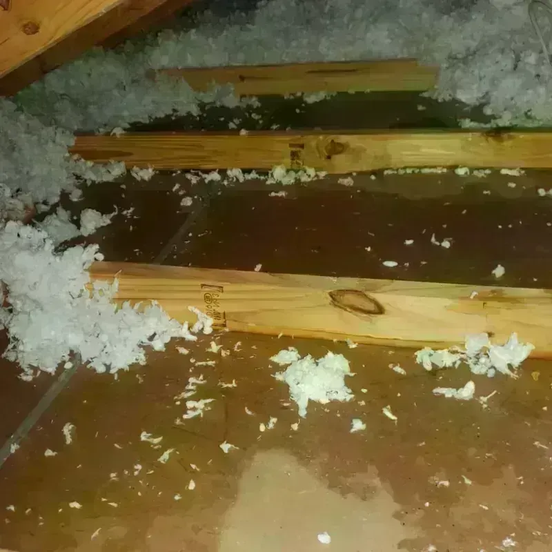 Attic Water Damage in Heber City, UT